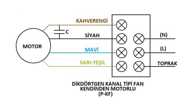 KF(SMALL GROUP)- COLOR.JPG
